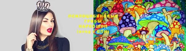 скорость Алексеевка