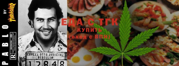 гашик Алексин