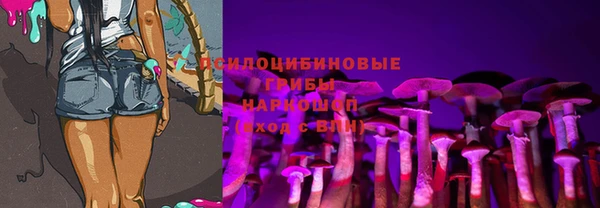 гашик Алексин