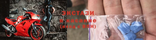 гашик Алексин