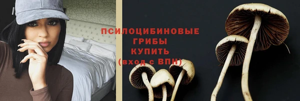 скорость Алексеевка