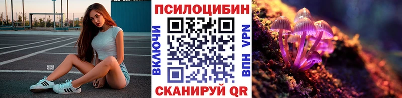 Галлюциногенные грибы Psilocybe  Сельцо 
